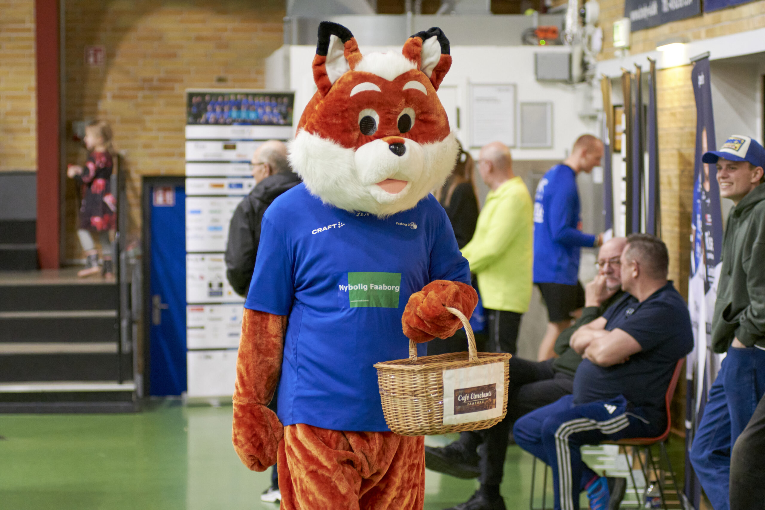 _DSC2015